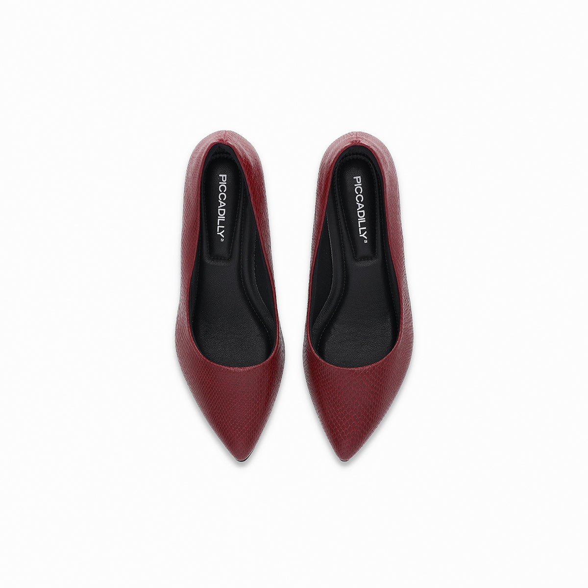 Zapato Taci Vino/Snake