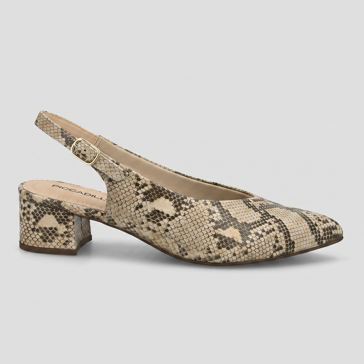 Zapato Taci 14 Reptil