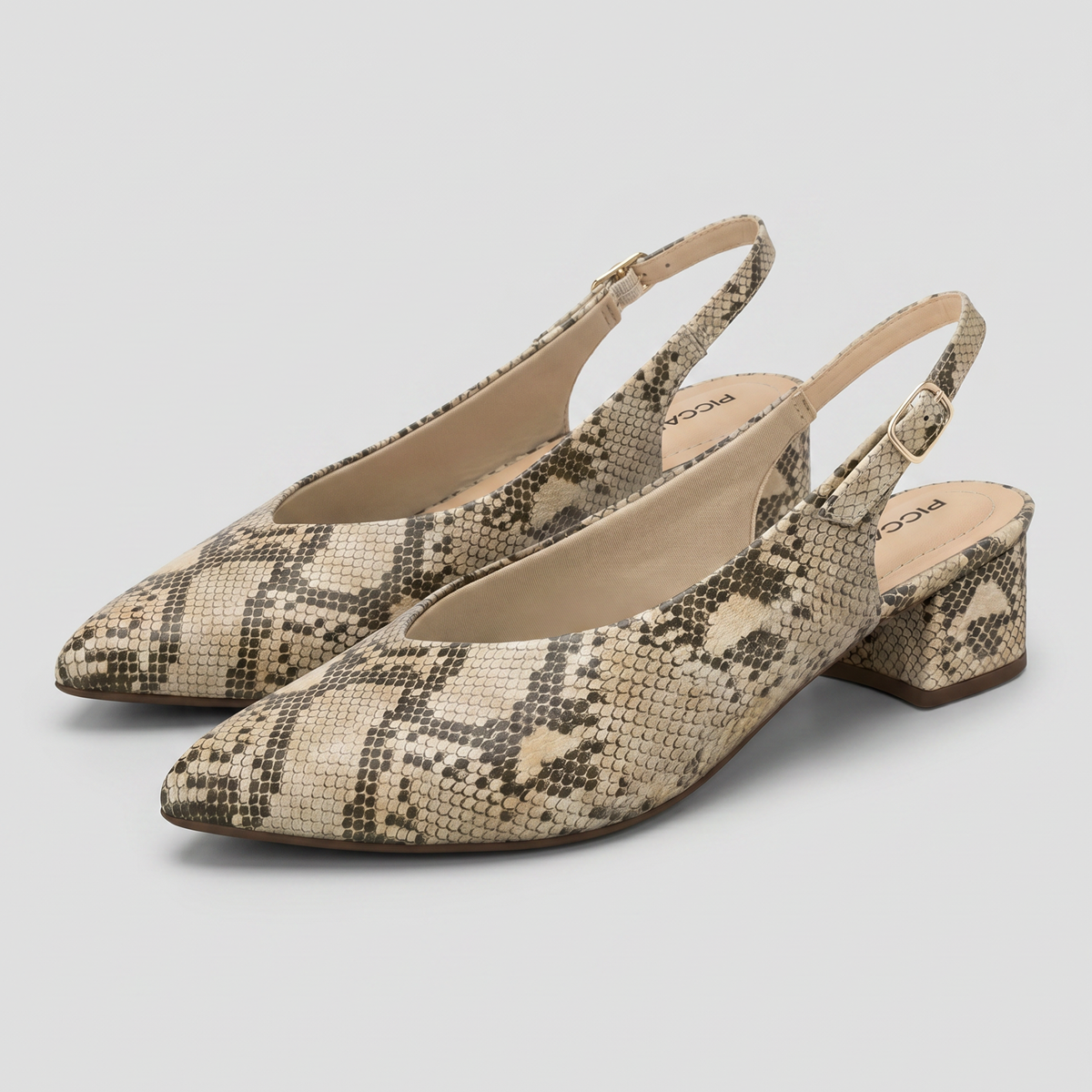 Zapato Taci 14 Reptil