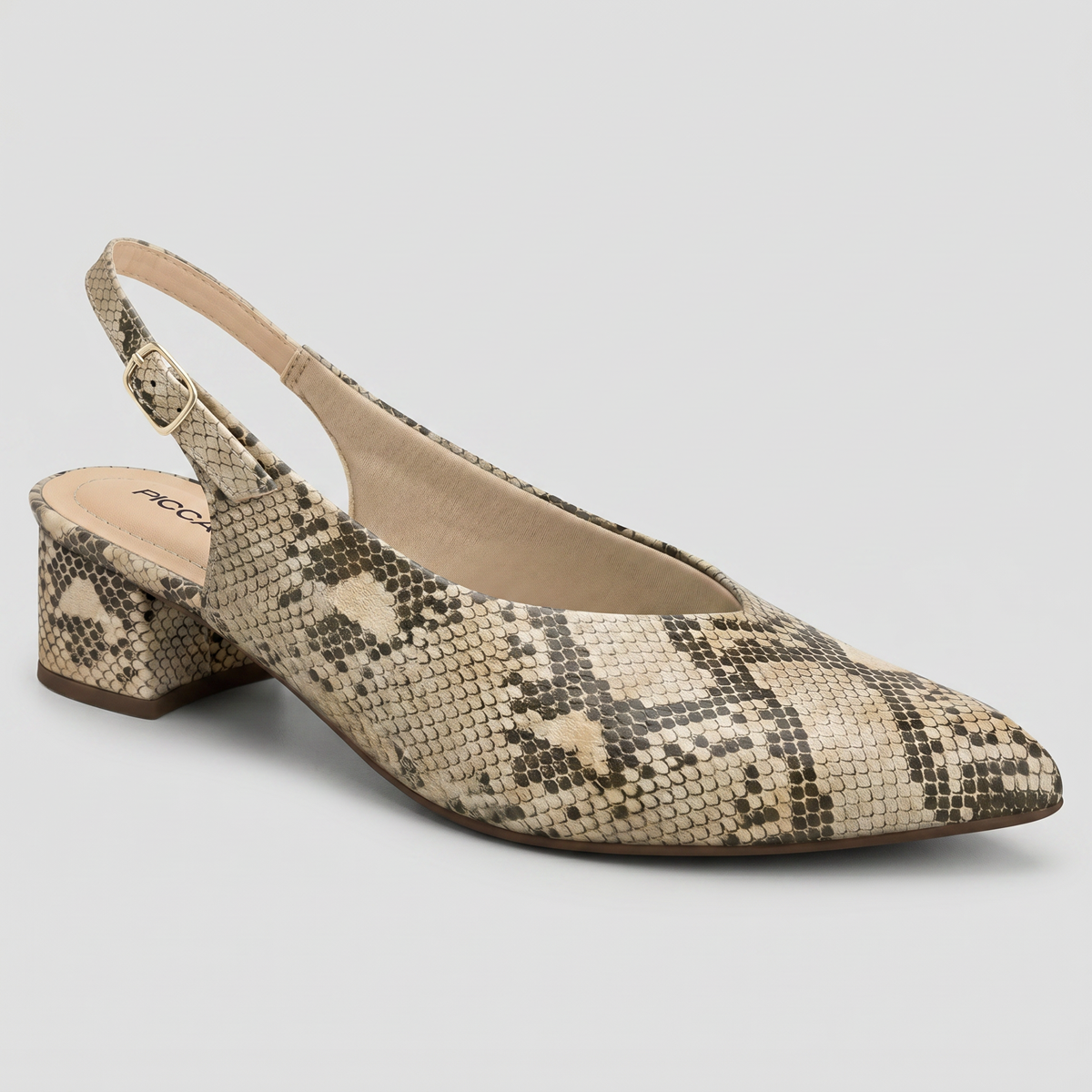 Zapato Taci 14 Reptil